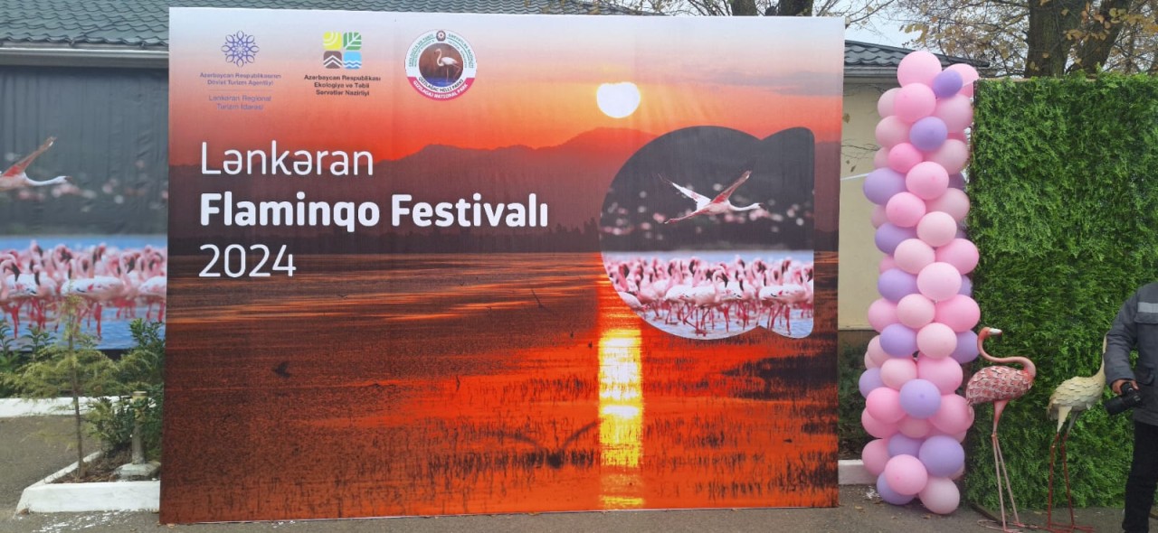 Lənkəranda "II Flaminqo Festivalı" keçirildi - FOTOLAR